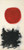 Adolph Gottlieb - Blast, I Art Gallery Poster Canvas Print Wall Decoration A0 A1