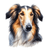 176 Borzoi Poster Canvas Movie Film Print A0 A1 A2 A3 A4 A5 A6 Art Wall Decorati