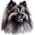 150 Keeshond Poster Canvas Movie Film Print A0 A1 A2 A3 A4 A5 A6 Art Wall Decora