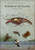 anatomy of the crayfish Poster Canvas Print Art Painting Decor Reprint wall A0 A