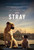 Stray (2021)_2 Poster Canvas Movie Film Print A0 A1 A2 A3 A4 A5 A6 Art Wall Deco