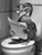Duck on Toilet-BlackAndWhite-3by4 Poster Canvas Funny Annimals Pritnt A0 A1 A2 A