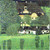 Gustav Klimt - Kammer Castle on Lake Attersee II 1909 Poster Canvas Movie Film P