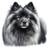 149 Keeshond Poster Canvas Movie Film Print A0 A1 A2 A3 A4 A5 A6 Art Wall Decora