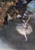 Edgar Degas 27 - Dancer on the stage Poster Canvas Movie Film Print A0 A1 A2 A3