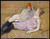 henri-marie-raymond-de-toulouse-lautrec---the-sofa_11141811294_o(1) Poster Canva