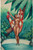 PinUp Girl - MARGARET BRUNDAGE Hawaiian Wate Poster Canvas Movie Film Print A0