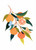 0_Orange Print Kitchen Decor Fruit Illustration Botanical Print Home Decor Food