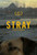 Stray (2021)_1 Poster Canvas Movie Film Print A0 A1 A2 A3 A4 A5 A6 Art Wall Deco