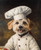 Chef Pet PortraitRenaissance Pet Portrait from PhotoCustom Funny Canvas Royal Pe