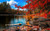 Autumn Forest 2 Poster Canvas Movie Film Print A0 A1 A2 A3 A4 A5 A6 Art Wall Dec