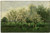 apple-trees-in-blossom-1862 Poster Canvas Print Art Painting Decor Reprint wall
