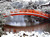 Jg_02_Shinsenen Garden, Kyoto_Kenji Kobayashi, 2008_sqs Poster Canvas Movie Film