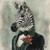 Gentelman Zebra in a formal green-themed outfit, a bow-tie, a rose, and a sophis