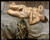 lucian-freud---portrait-on-a-grey-cover_11016752155_o(1) Poster Canvas Print Art