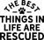 0014 BestLifeRescue Funny Poster Design Canvas Motivation Print A0 A1 A2 A3 A4 A