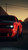 Hellcat_20172770 Poster Canvas Movie Film Print A0 A1 A2 A3 A4 A5 A6 Art Wall De