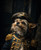 Soldier Pet PortraitPortrait Custom - History Pet PortraitRegal Pet PortraitPet