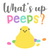 Whats Up Peeps Poster Canvas Movie Film Print A0 A1 A2 A3 A4 A5 A6 Art Wall Deco