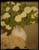 pierre-bonnard---still-life-with-guelder-roses--jpb_15678045075_o(1) Poster Canv