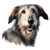 164 Irish Wolfhound Poster Canvas Movie Film Print A0 A1 A2 A3 A4 A5 A6 Art Wall