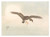 Japanese Woodblock Print Nishizawa Tekiho THE LOYAL RONINS Original Woodcut Post