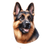 5 German Shepherd Poster Canvas Movie Film Print A0 A1 A2 A3 A4 A5 A6 Art Wall D