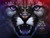 The Neon Demon (2016)_4 Poster Canvas Movie Film Print A0 A1 A2 A3 A4 A5 A6 Art