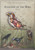 Bird anatomy 1 Poster Canvas Movie Film Print A0 A1 A2 A3 A4 A5 A6 Art Wall Deco