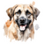 Anatolian Shepherd Dog (1) Poster Canvas Movie Film Print A0 A1 A2 A3 A4 A5 A6 A