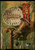 aaron-bohrod---the-turtle-shell--jpb_15500910375_o(1) Poster Canvas Movie Film P