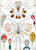 Haeckel_Copepoda Poster Canvas Movie Film Print A0 A1 A2 A3 A4 A5 A6 Art Wall De