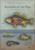 Animal Anatomy 6xA0 Posters SPECIAL ORDER
