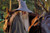 036-the-lord-of-the-rings-the-fellowship of-the-ring-theredlist Poster Canvas Mo