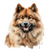 Eurasier (1) Poster Canvas Print Art Painting Decor Reprint wall A0 A1 A2 A3 A4