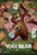 Yogi Bear (2010)_1 Poster Canvas Movie Film Print A0 A1 A2 A3 A4 A5 A6 Art Wall