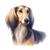 225 Saluki Poster Canvas Movie Film Print A0 A1 A2 A3 A4 A5 A6 Art Wall Decorati