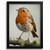 Robin Bird Oil Pastel Wall Art Print Animal Vintage Print Robin Pastel Oil Print