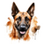 Belgian Malinois (6) Poster Canvas Movie Film Print A0 A1 A2 A3 A4 A5 A6 Art Wal