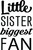 Little Sister Biggest Fan (3) Poster Canvas Movie Film Print A0 A1 A2 A3 A4 A5 A