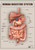 Human digestive system 1
