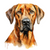 Rhodesian Ridgeback (1) Poster Canvas Movie Film Print A0 A1 A2 A3 A4 A5 A6 Art