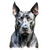 Thai Ridgeback (2) Poster Canvas Movie Film Print A0 A1 A2 A3 A4 A5 A6 Art Wall