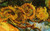 Vincent Willem van Gogh - Picture (21) Poster Canvas Movie Film Print A0 A1 A2 A