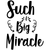 Such a Big Miracle-01 (3) Poster Canvas Movie Film Print A0 A1 A2 A3 A4 A5 A6 Ar
