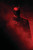 The Batman 2022 4 Poster Canvas Movie Film Print A0 A1 A2 A3 A4 A5 A6 Art Wall D
