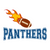 Panthers-Football-Team_3 Poster Canvas Movie Film Print A0 A1 A2 A3 A4 A5 A6 Art