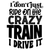 I Don't Just Ride On The Crazy Train I Drive It-01 Poster Canvas Movie Film Prin