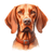 85 Vizsla Poster Canvas Movie Film Print A0 A1 A2 A3 A4 A5 A6 Art Wall Decoratio