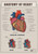 Anatomy of the heart 2 Poster Canvas Movie Film Print A0 A1 A2 A3 A4 A5 A6 Art W